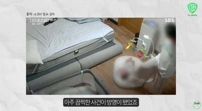 韓国の乳児死亡事件…医療記録と映像を確認した小児科教授が怒り「23カ所骨折、あまりに残酷」
