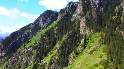 動画:夏山に広がる絶景 中国・新疆マナス県