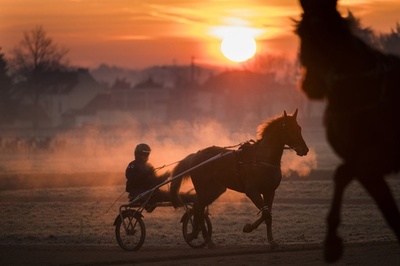 【AFP記者コラム】美しく唯一無二、パリ郊外にある馬専用施設