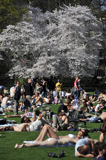 春を通り越して初夏の陽気、スイス