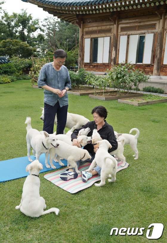 2019年9月1日、当時のムン・ジェイン（文在寅）大統領と妻キム・ジョンスク（金正淑）氏が青瓦台で北朝鮮のキム・ジョンウン（金正恩）総書記からプレゼントされた豊山（プンサン）犬と過ごす様子(c)news1