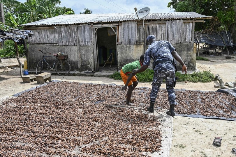 カカオ農園の児童労働に立ち向かう コートジボワール