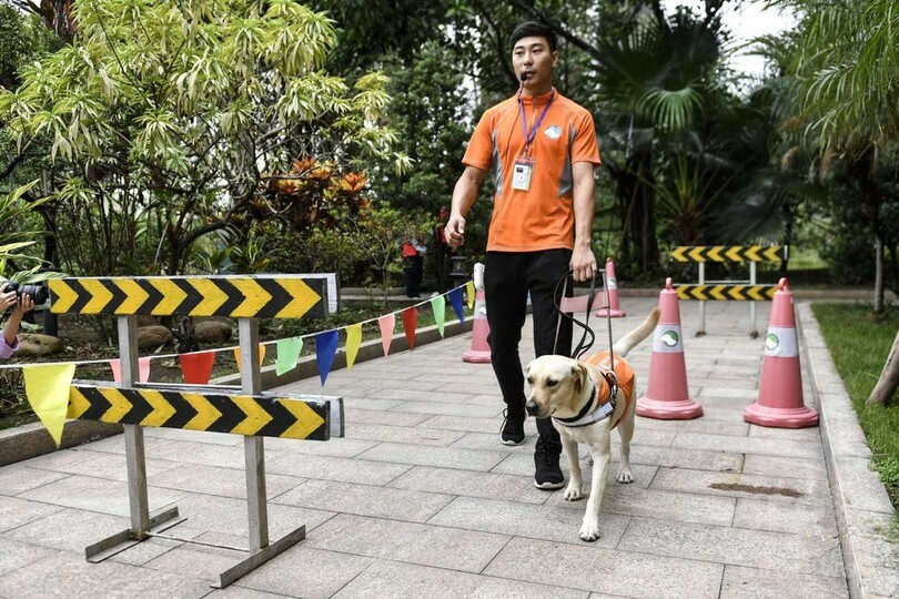 ボクたちも早くお役に立ちたい！　中国盲導犬南方師範基地から初の「卒業生」