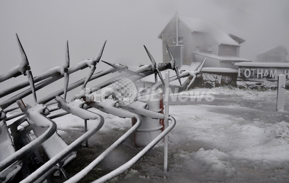 南半球のオーストラリアで季節外れの雪 ホワイトクリスマスも 写真6枚 国際ニュース Afpbb News