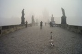 チェコの首都プラハ（Prague）で、深い霧に包まれたカレル橋（Charles Bridge）を歩くハクチョウ（2013年10月19日撮影）。(c)AFP/MICHAL CIZEK