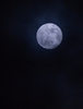地球と月の距離が年間で最も短くなるタイミングに満月を迎える「スーパームーン（Supermoon）」現象が5日、世界各地で観測された。

楕円（だえん）形の軌道を持つ月には、地球に最も近づく近地点と、地球から最も遠ざかる遠地点がある。スーパームーンは、月がほぼ近地点にあるときに観測される満月のため、地球からは普段よりも14％大きく、30％明るく見える。

写真は、米メリーランド（Maryland）州で観測されたスーパームーン（2012年5月5日撮影）。(c)AFP/Mandel NGAN