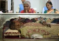インド・ゴア（Goa）州のセ大聖堂（Se Cathedral）で、イエズス（Jesuit）会宣教師フランシスコ・ザビエル（Francis Xavier）の遺体にお参りするインドのキリスト教徒ら（2014年11月22日撮影）。(c)AFP/PUNIT PARANJPE