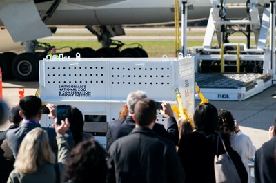 パンダ３頭、米ワシントンから中国に帰国へ