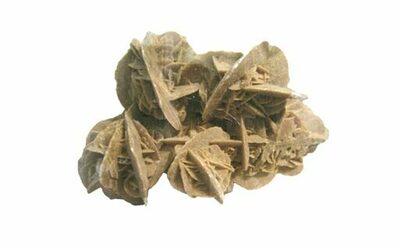 令和7年度立正大学博物館記念展「沙漠の秘宝」のご案内