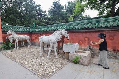 500歳近くの北京地壇公園「神馬圏」が初めて一般公開