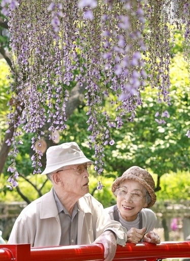 高齢者人口が史上最多に
