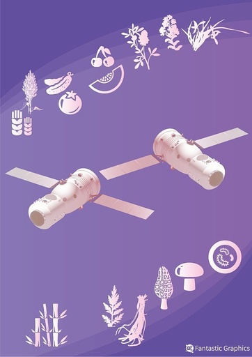 「神舟13号」積載の種子が船外に 内モンゴルの草種6種類の宇宙育種試験が開始