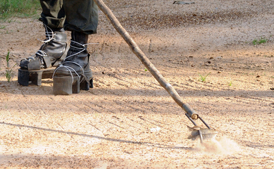 スリランカ情勢 「政治的解決が不可欠」、外務省関係者
