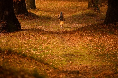 一面に広がる紅葉の彩り インド・カシミールのニシャット庭園