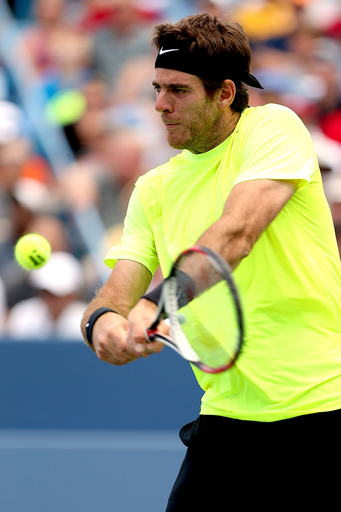 ジョコビッチがデルポトロを下して決勝進出、W&Sオープン