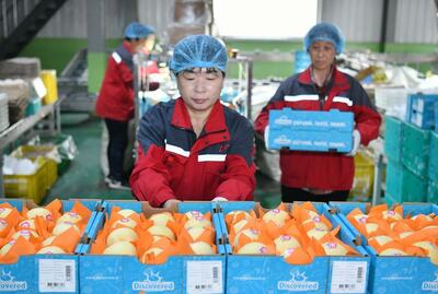 中国・河北省の対中南米貿易額、1~4月は260億元超す 過去最高更新