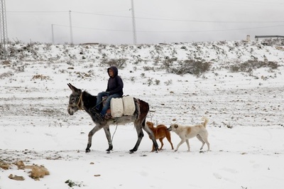 チュニジアで寒波、2人死亡