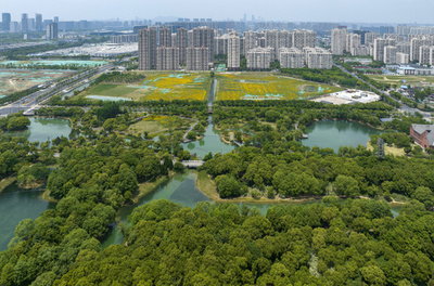 輝き取り戻す「江南の真珠」 中国・太湖の水質改善進む