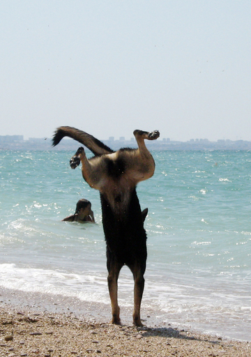 海だ！波打ちぎわでジャンプ、ウクライナ