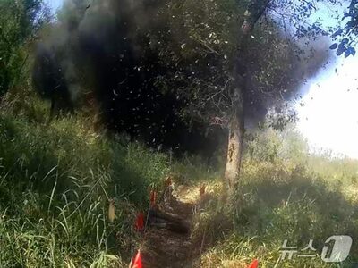 韓国軍、DMZ地雷爆発直後に火力待機態勢を引き上げ…不測の事態に備え