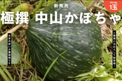 ホクホク食感と豊かな甘みが魅力　栃木県の希少なブランド野菜 「中山かぼちゃ」をＪＡタウンで販売開始！