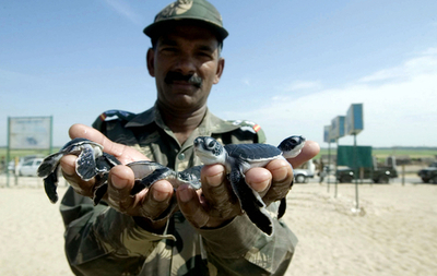 インドの陸軍、海軍、空軍が合同演習