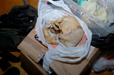 自宅に人骨を持っていた女を起訴、性的な目的に使用 スウェーデン