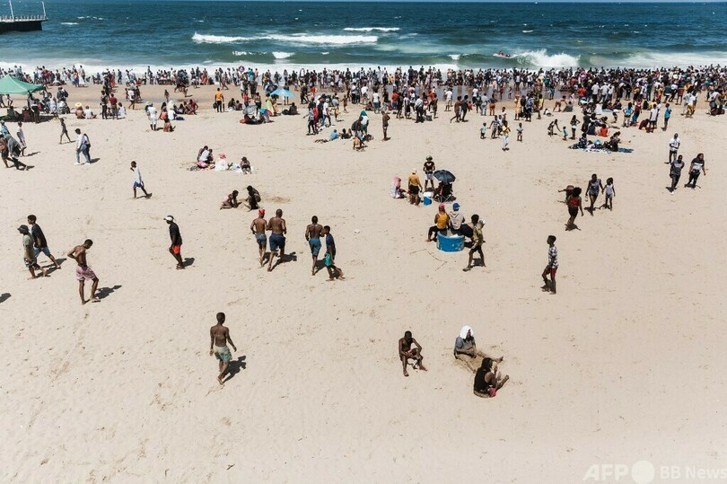 アシカの赤ちゃんに襲われ2人負傷 南ア