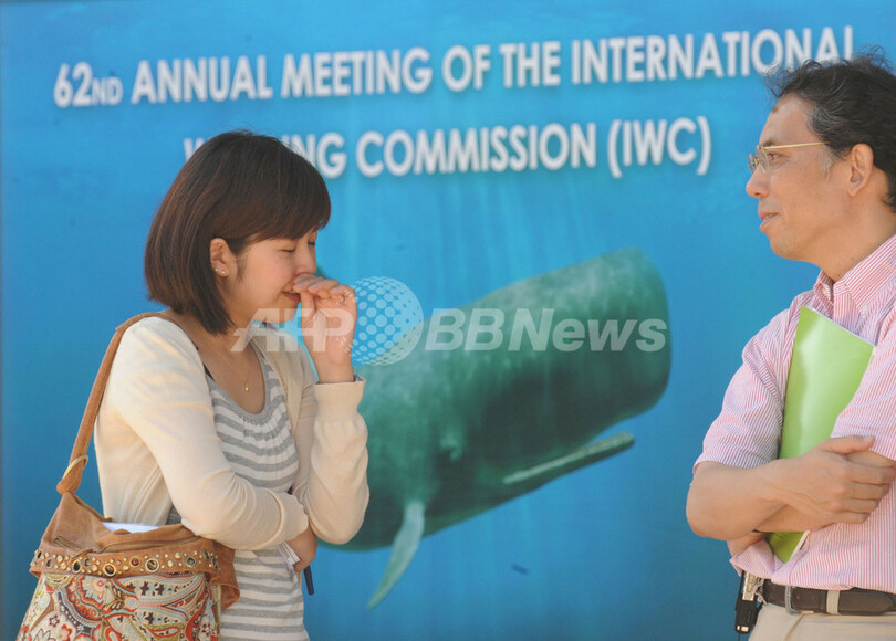 IWC議長役の滞在費を日系企業が負担、英紙