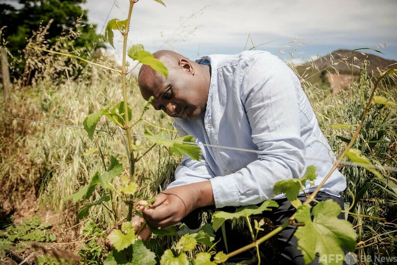 白人占めるワイン業界に新風を 黒人が参入 南ア