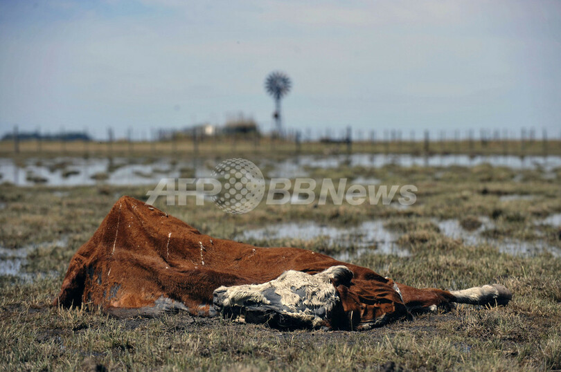 【写真特集】世界の環境のいま