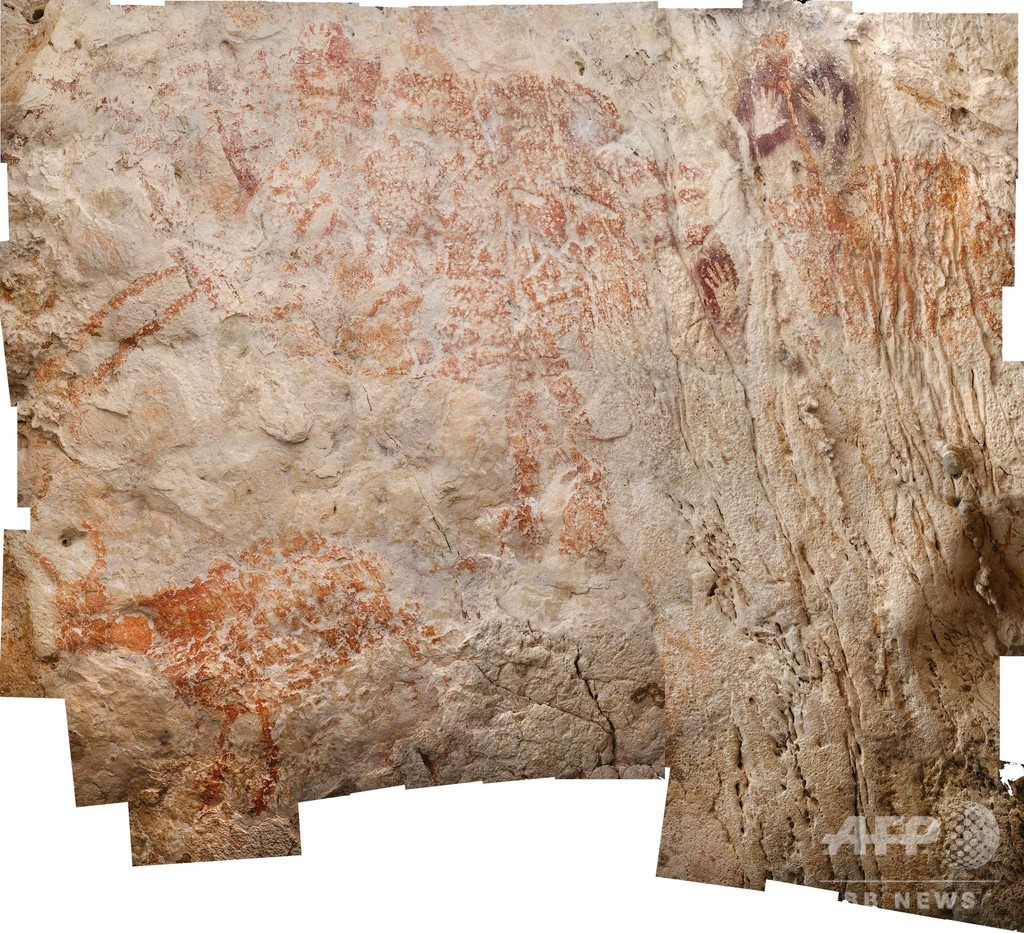 「世界最古の具象画」 4万年前の洞窟壁画、最新年代測定 「世界最古の具象画」 4万年前の洞窟壁画、最新年代測定