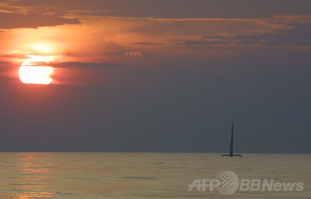 エイの深海潜水能力を解明、米研究 エイの深海潜水能力を解明、米研究