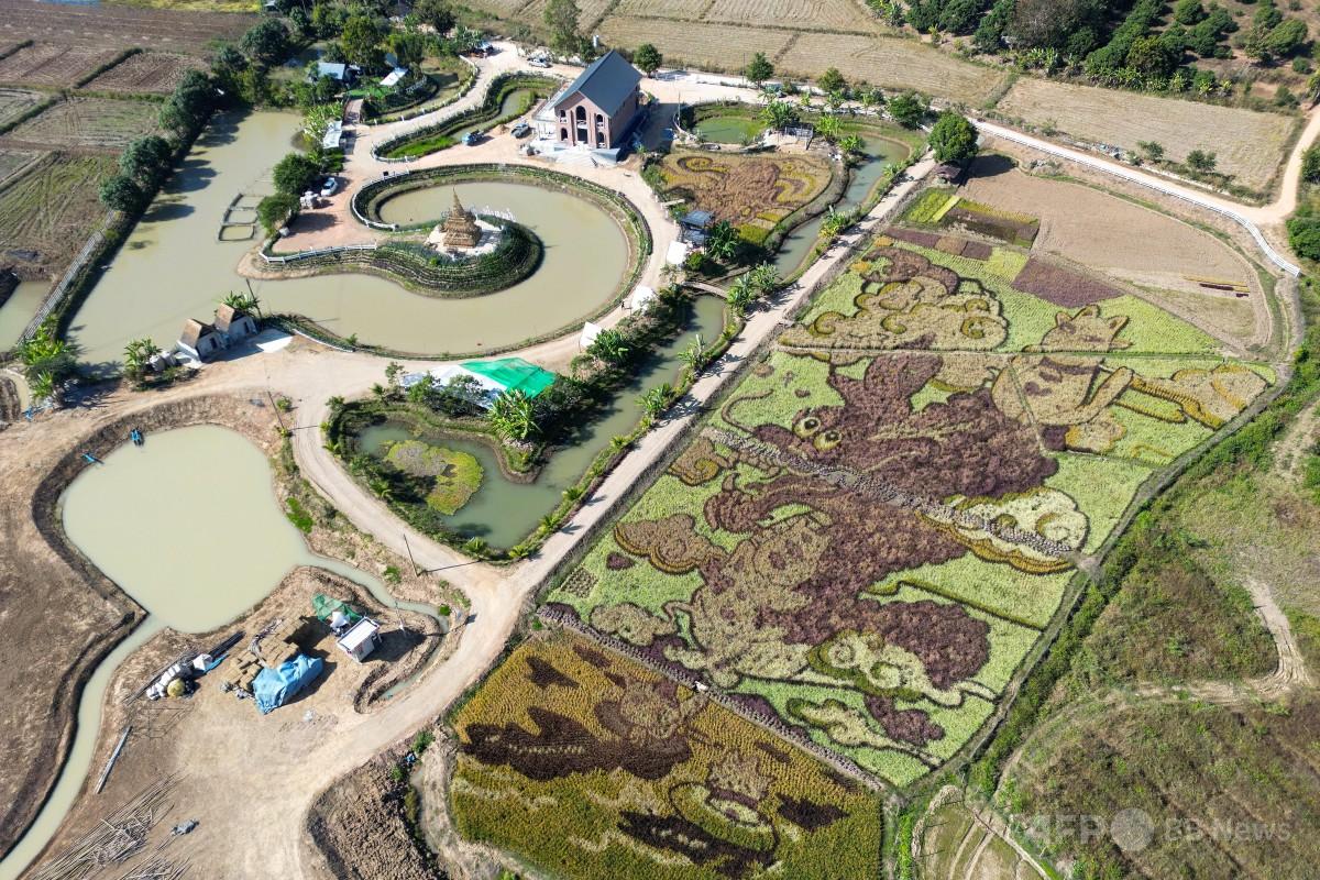 img_36c9c436052ca734149a038246