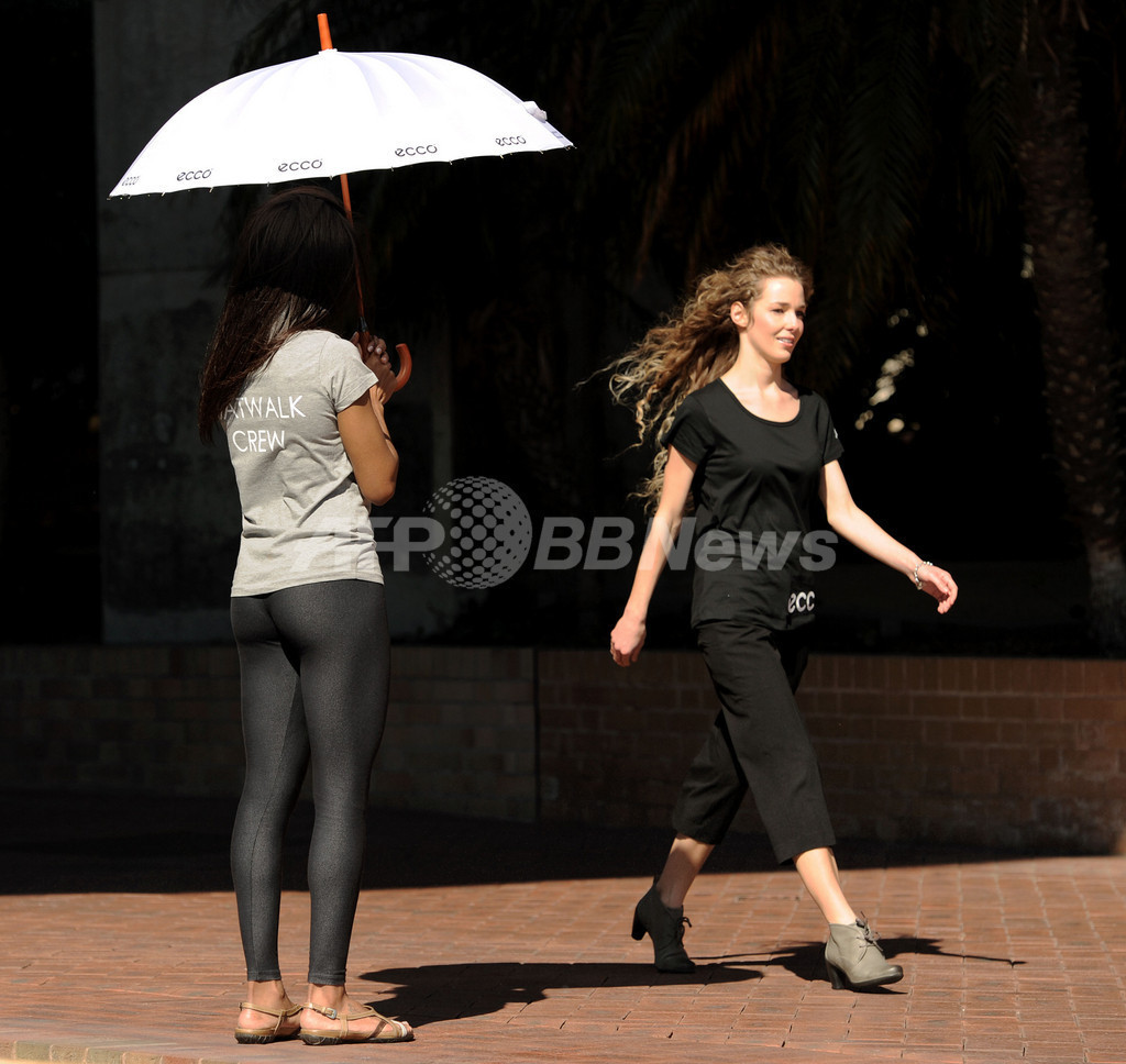 世界一長いキャットウォーク、2.8キロ