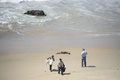 米カリフォルニア州ラグナビーチに漂着したアシカ（2015年3月30日撮影）。(c)AFP/ROBYN BECK
