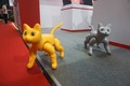 大象機器人が展示した火星猫（ＭａｒｓＣａｔ、2023年8月16日撮影）。(c)Xinhua News