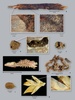 タカールコリ遺跡から発見された約9500年前の植物の痕跡。伊ローマのラ・サピエンツァ大学提供（2016年12月19日提供）。(c)AFP/Archaeological Mission in the Sahara of the Sapienza University of Rome
