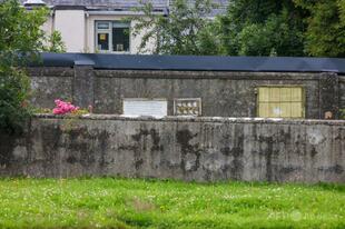 「母と子の家」跡地 乳幼児の集団墓地を本格調査 アイルランド