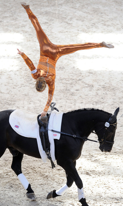 馬上の人 画像・写真：アフマダリエフ「歴史つくる」 井上尚と対戦前に練習公開