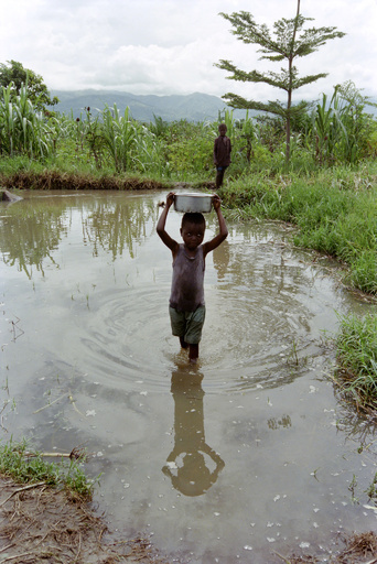 「難民の飢餓」