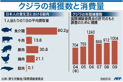 【図解】クジラの年間捕獲数と消費量