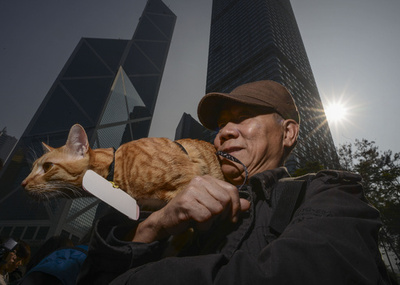 動物の権利求めるデモに1000人、香港