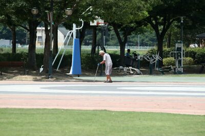 韓国、猛暑下で認知症患者の行方不明相次ぐ…7～8月に届け出集中
