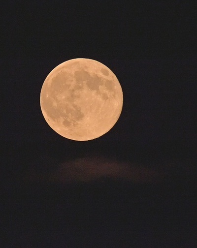 月面の「嵐の大洋」、溶岩流出で形成 米研究