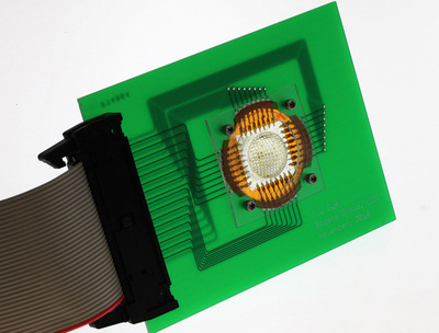 昆虫をまねた複眼レンズのカメラを開発、米研究チーム