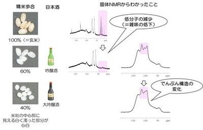 【Food Chemistry誌掲載】 東洋大学の研究グループが日本酒用酒米「山田錦」の心白※1構造を分子レベルで解明～酒米の磨きによって露出する心白デンプンの構造的特徴を分子レベルで可視化