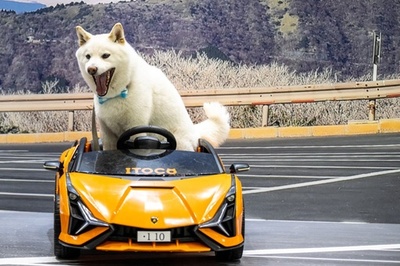 ペット同伴可！ 日本最大級のペットイベント開幕