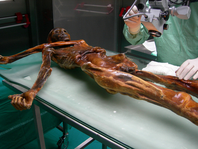 アルプスで発見のミイラ、「アイスマン」は欧州人ではなかった　伊英研究