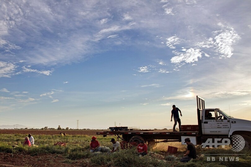  新型コロナに続き「世界的食料危機」の恐れ、国連とWTOが警告